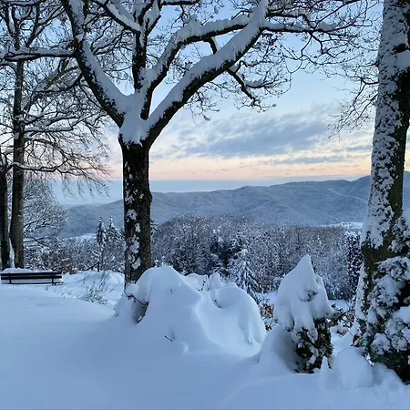Apartamento Le Panorama - Marck Turckheim